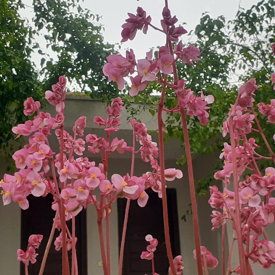 Cuc Phuong Bungalow Nho Quan Luaran gambar