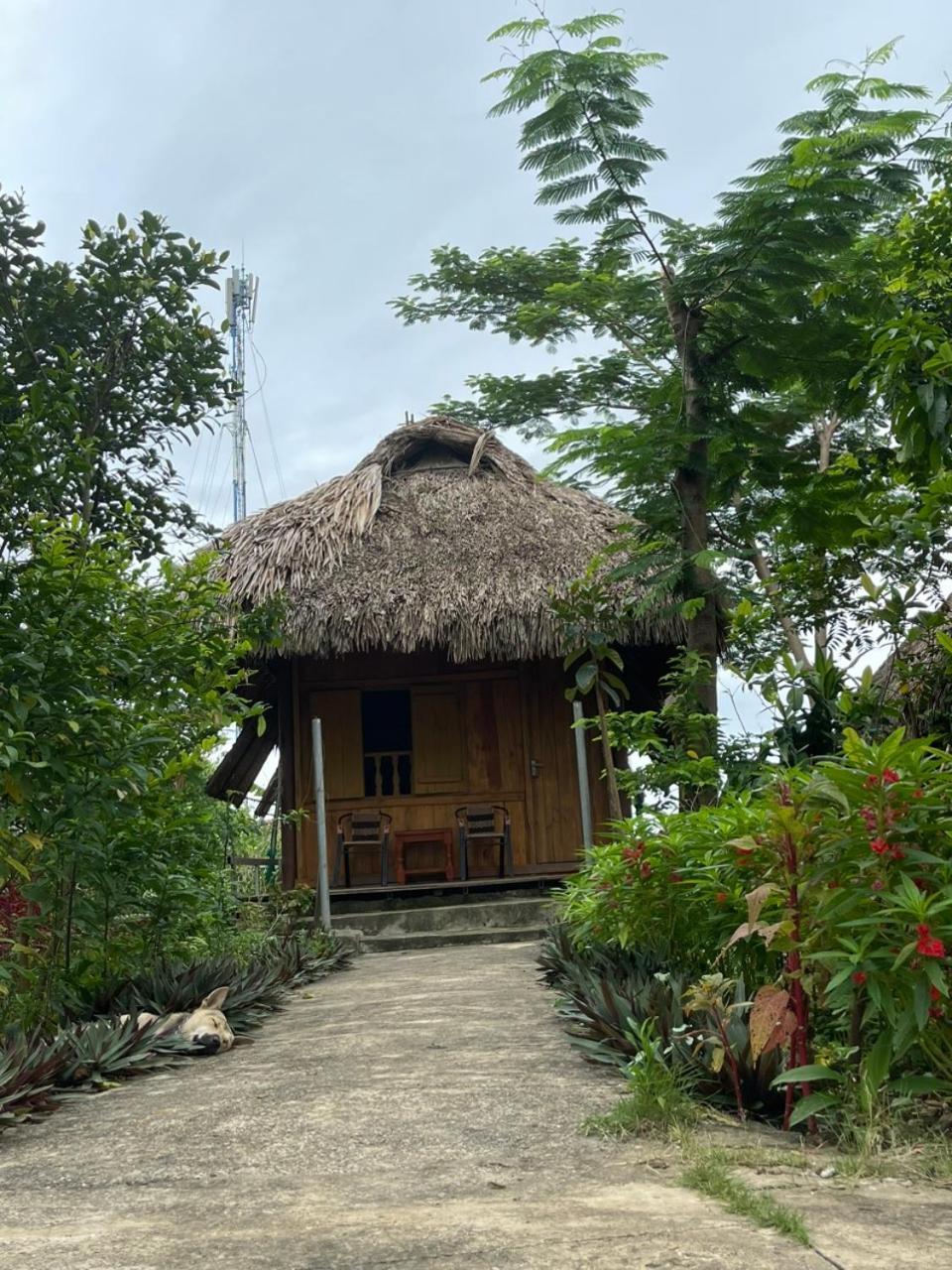 Cuc Phuong Bungalow Nho Quan Luaran gambar
