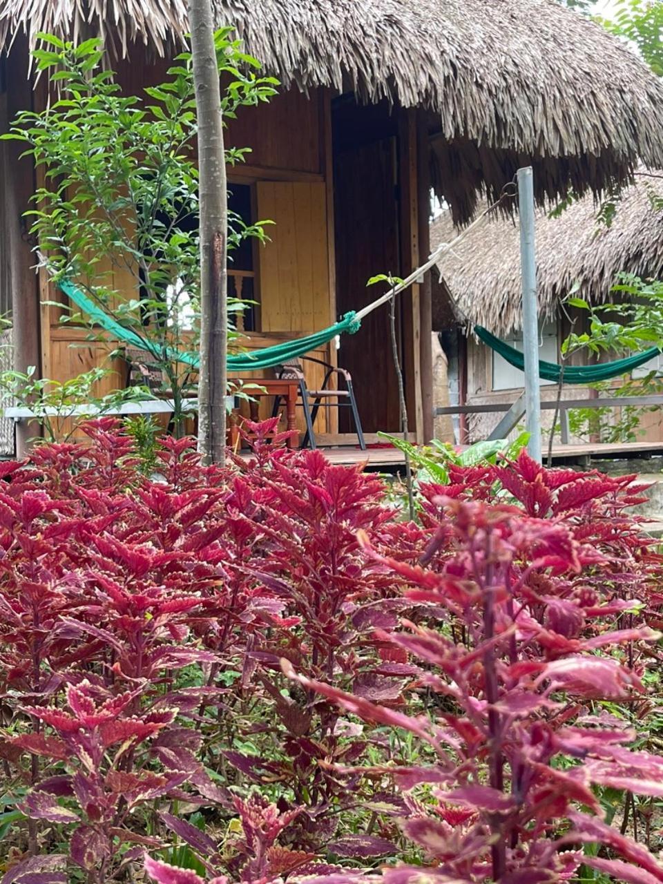 Cuc Phuong Bungalow Nho Quan Luaran gambar